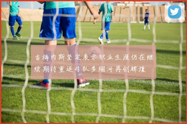 吉梅内斯坚定表示职业生涯仍在继续期待重返母队多瑙河再创辉煌