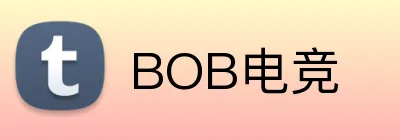 BOB电竞 Logo